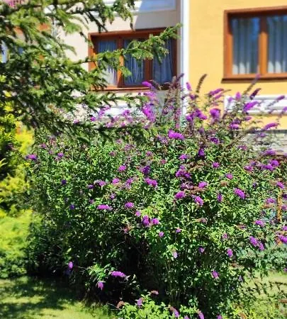 Pirin Golf Downtown * Razlık